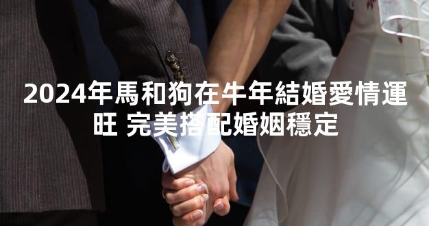 2024年馬和狗在牛年結婚愛情運旺 完美搭配婚姻穩定